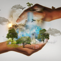 zwei Hände halten eine Weltkugel mit Bäumen und Vögeln